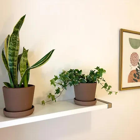 Pet-friendly Apartamento Con Piscina Y Terraza By Bebalmy Apartment Fuengirola
